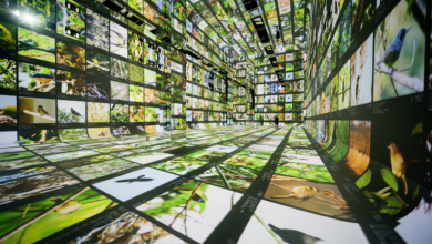 Exploring Dataland: The First Museum Dedicated to AI Art