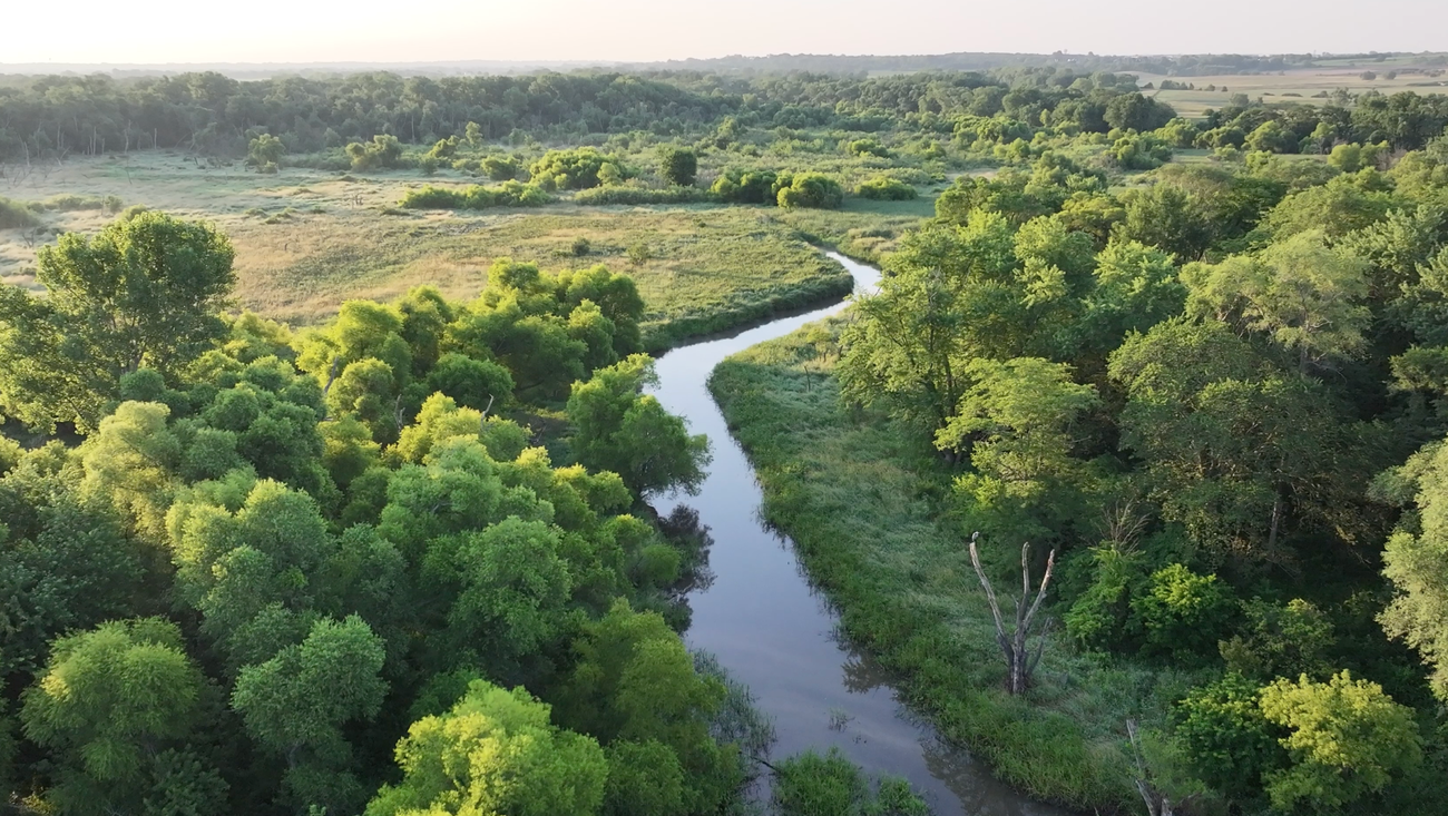 Google's Commitment to Sustainable Water Stewardship