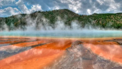 Discover America's National Parks with United Parks of America