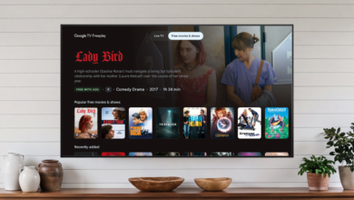 Discover Free Movies and Shows on Google TV Freeplay