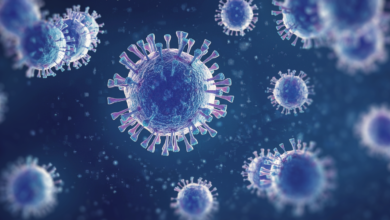 Google AI Achieves Top Ranking in Flu Hospitalization Predictions