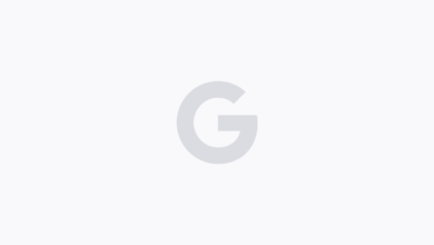 Google Partners with White House to Launch America.gov