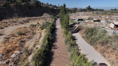 Google's Commitment to Water Resilience in Chile